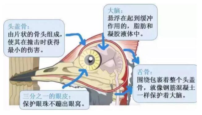 昆明安全帽，安全買冷知識你知道嗎？